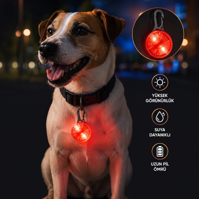 Evcil Hayvan Işıklı LED Tasma Aparatı - Suya Dayanıklı - Uzun Pil Ömrü - görsel 2